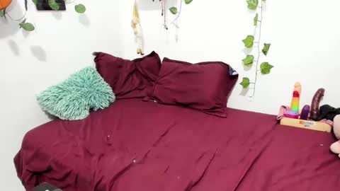 Ariamapola88 online show from January 2025 07:18:01 AM