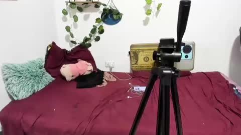 Ariamapola88 online show from March 2025 06:15:02 AM