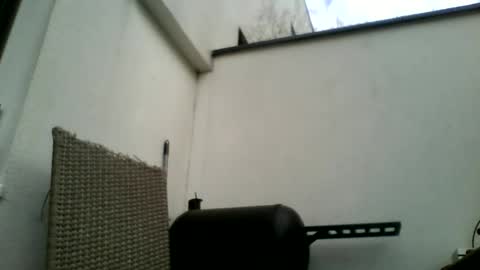 Snapshot of theforkliftman chatting on March 2026 12:41:01 PM theforkliftman online show from March 2026 12:41:01 PM