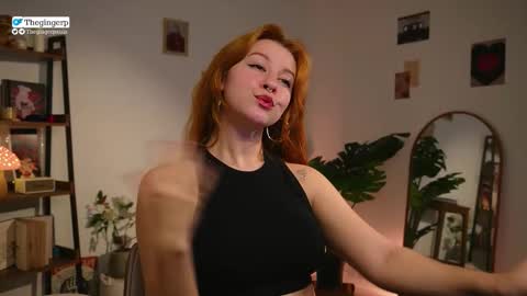   Streaming mostly at    online show from February 2026 12:16:02 AM