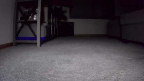 thegreat6268469 online show from December 2024 10:44:02 AM