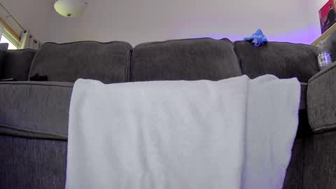 thegreat6268469 online show from September 2025 11:37:01 PM