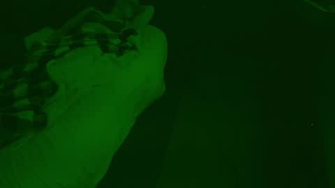 thehungmantis online show from December 2024 04:32:01 AM