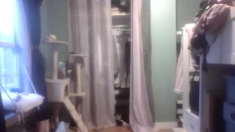 Little Bambii online show from January 2025 09:55:02 PM