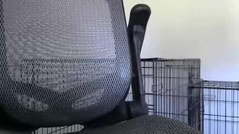 Snapshot of themaneb chatting on October 2025 02:49:01 PM themaneb online show from October 2025 02:49:01 PM