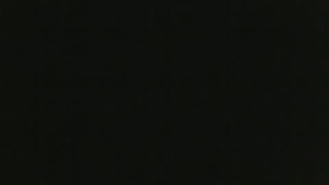 JohnSilver online show from January 2025 01:28:01 PM