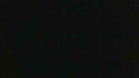 JohnSilver online show from January 2025 03:32:02 PM