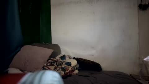 theonlyboi43ver online show from January 2025 11:39:02 PM