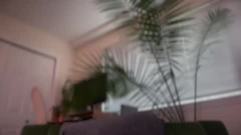 Snapshot of therealveggieboy chatting on May 2026 12:08:02 AM Pookie online show from May 2026 12:08:02 AM
