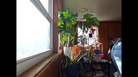 Snapshot of therizzler_1_of_1 chatting on December 2024 03:49:02 PM therizzler_1_of_1 online show from December 2024 03:49:02 PM