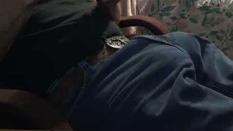 thetnguy online show from October 2025 12:24:01 PM