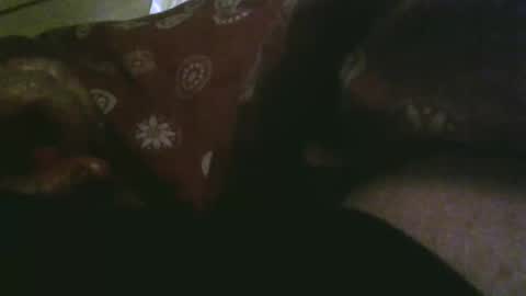 Snapshot of thisbloke96 chatting on December 2025 10:27:02 PM thisbloke96 online show from December 2025 10:27:02 PM