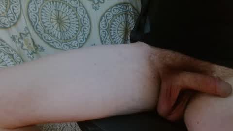 thiswillbefun783025 online show from February 2026 12:05:02 AM