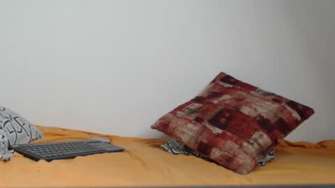 tiff online show from December 2024 06:11:01 AM