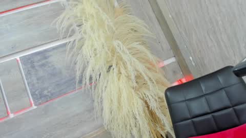 Tiffany online show from February 2025 07:50:01 AM