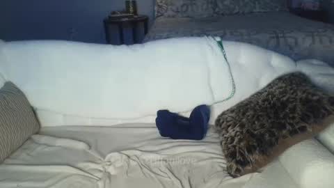 Tiffani Love online show from February 2025 01:00:02 AM