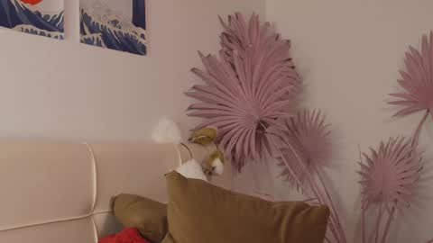 tiffanyjons online show from February 2025 12:21:02 AM