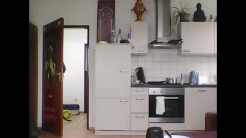 Snapshot of tigertrance chatting on March 2025 11:44:02 AM tigertrance online show from March 2025 11:44:02 AM