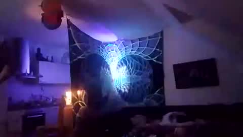 Snapshot of tigertrance chatting on December 2025 12:49:02 AM tigertrance online show from December 2025 12:49:02 AM