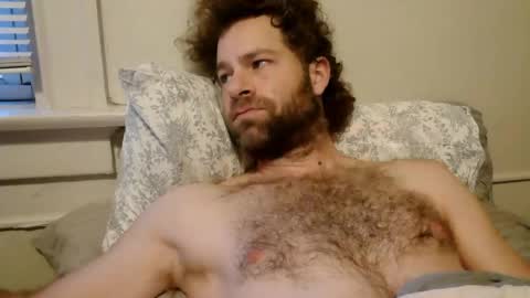 tigerzaddy online show from February 2026 01:59:01 PM