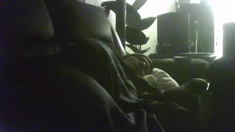 Snapshot of tiimmmygone6969 chatting on February 2026 06:22:01 AM timmy online show from February 2026 06:22:01 AM