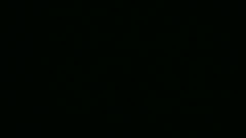 Tim online show from February 2026 04:44:01 AM