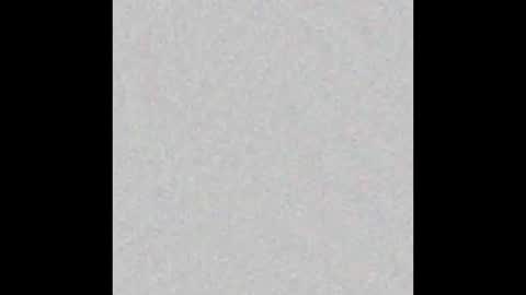 TimLooking online show from February 2025 10:07:01 AM