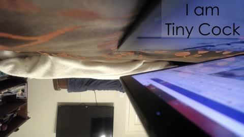 tinycock_1979 online show from February 2025 02:28:02 AM