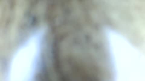 tinypecker6 online show from June 2026 05:57:02 PM