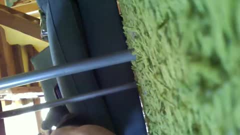 tinyvoice87 online show from May 2026 09:14:01 AM