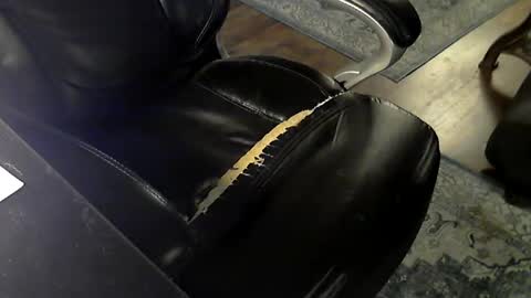 Snapshot of tmdc17 chatting on October 2025 07:36:02 PM tmdc17 online show from October 2025 07:36:02 PM