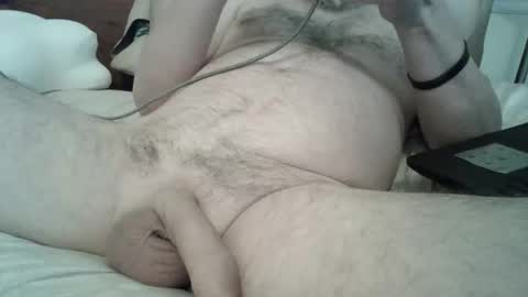 toddbells online show from April 2026 03:39:01 PM