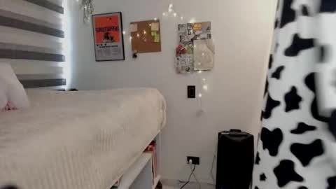 Snapshot of toky222 chatting on February 2026 03:56:02 PM Tokyo online show from February 2026 03:56:02 PM