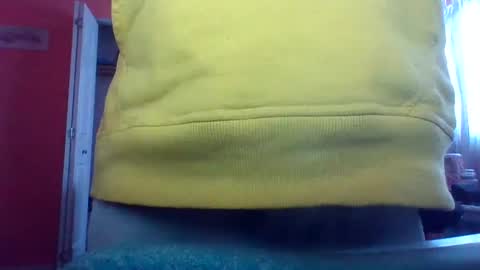 tomcat4848 online show from February 2025 07:06:01 PM