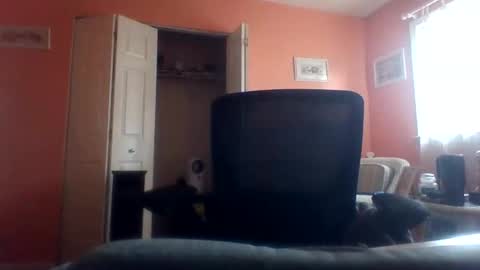 tomcat4848 online show from April 2026 07:48:01 PM