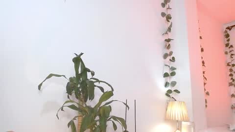 Tommy Foxboy online show from March 2025 05:18:02 PM