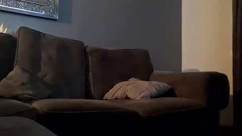 Snapshot of tommygee8805 chatting on December 2024 04:36:02 AM Tonyfun online show from December 2024 04:36:02 AM