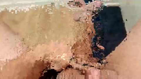 ARKANSAS THICK WOOD online show from March 2026 02:28:02 AM