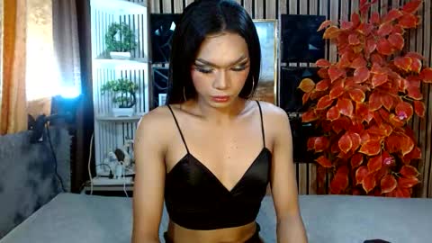 toptrans venice online show from February 2026 06:26:01 AM