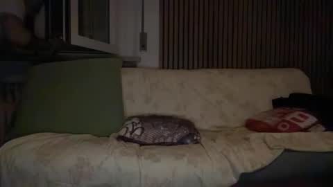 torofermo705033 online show from January 2026 02:35:02 AM