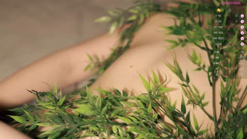 Toshi online show from December 2024 04:05:01 PM