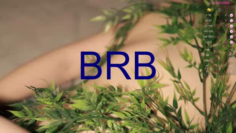 Toshi online show from December 2024 04:14:02 PM