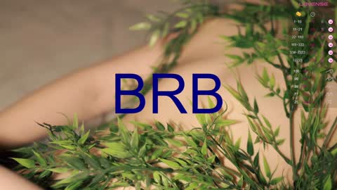 Toshi online show from January 2025 04:04:01 PM