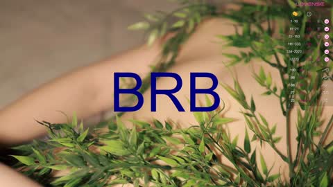 Toshi online show from January 2025 04:17:02 PM