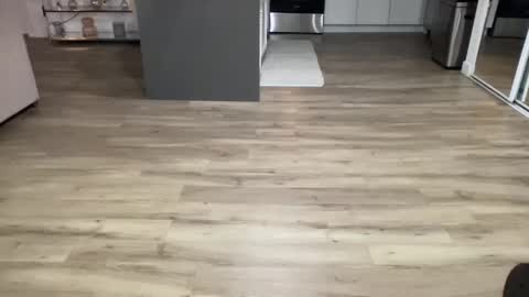 ASH online show from February 2025 04:36:02 AM