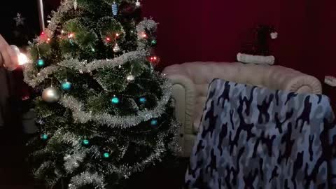   online show from December 2024 08:05:02 AM