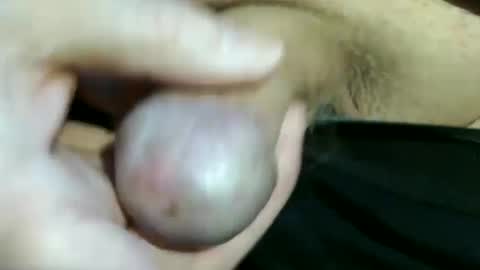 trailblazer1969 online show from December 2024 09:01:01 PM