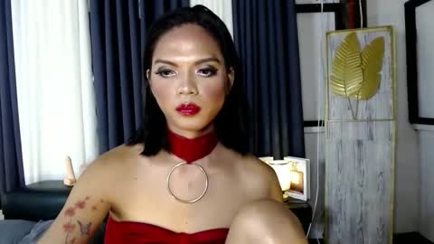 transsitips online show from December 2025 02:58:02 PM