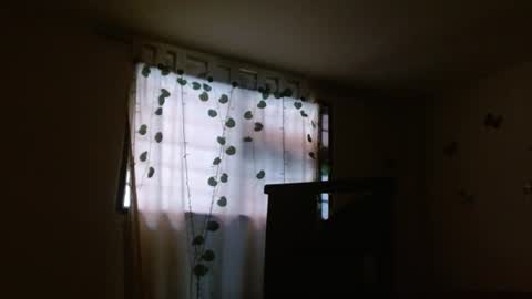 trebol_4 online show from July 2026 09:14:02 PM