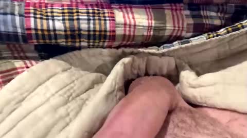 tree553 online show from December 2024 06:50:02 PM